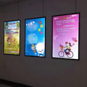 Translit / Backlit Flex